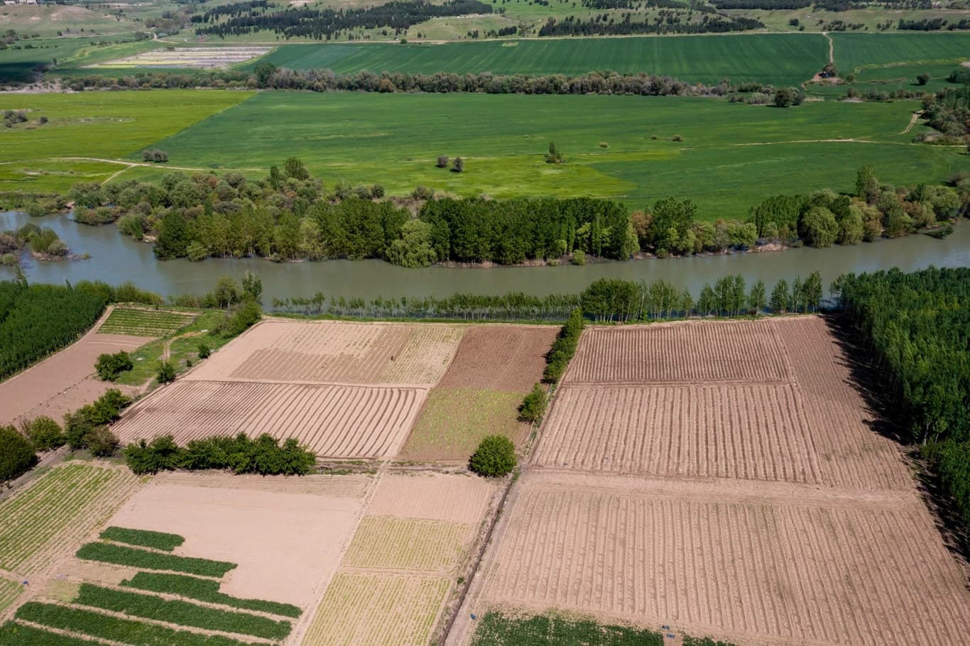 Dicle Nehri 2