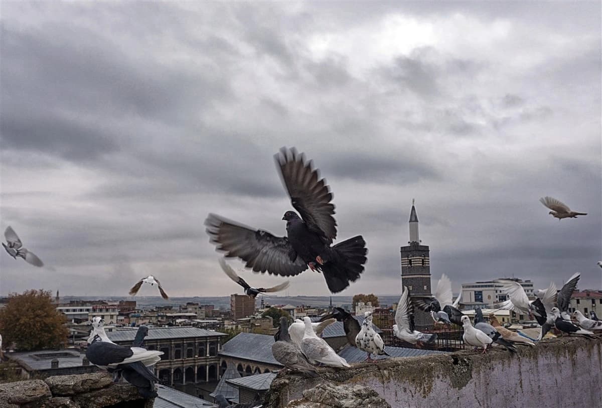 Diyarbakır Ulu Cami 8