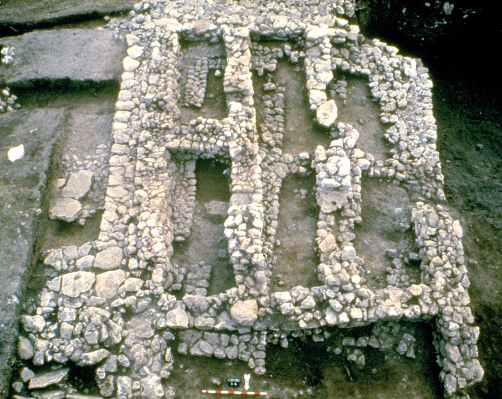 Çayönü Tepesi 7