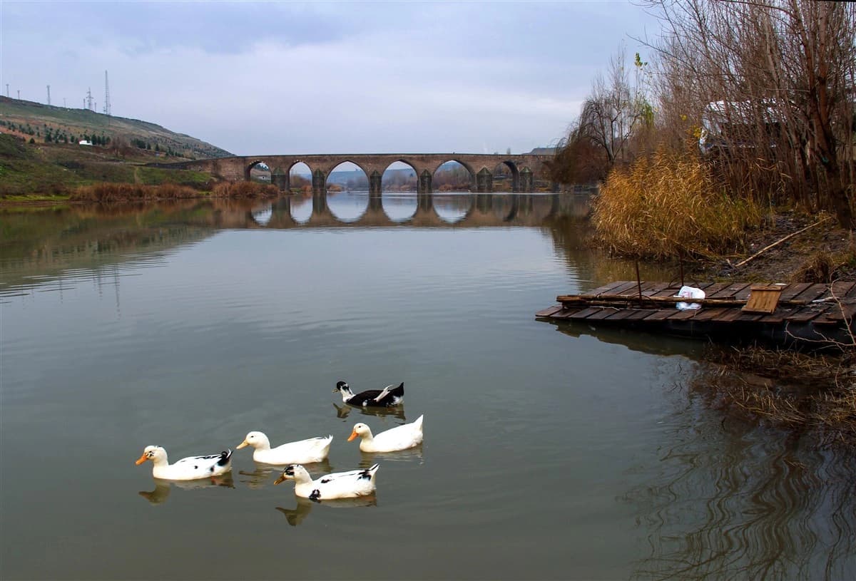 On Gözlü Köprü (Dicle Köprüsü) 3